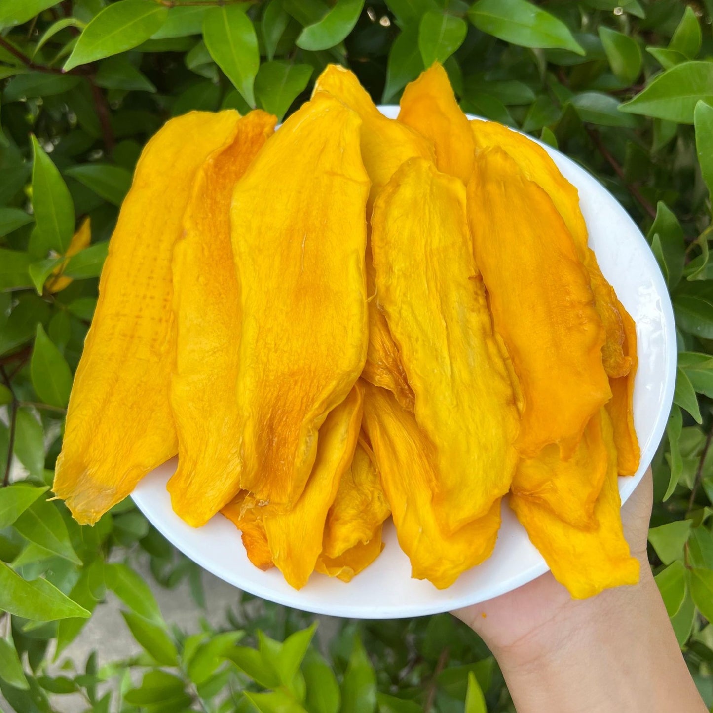 MR. MANGO | Sušené mango FAMILY PACK 500 g
