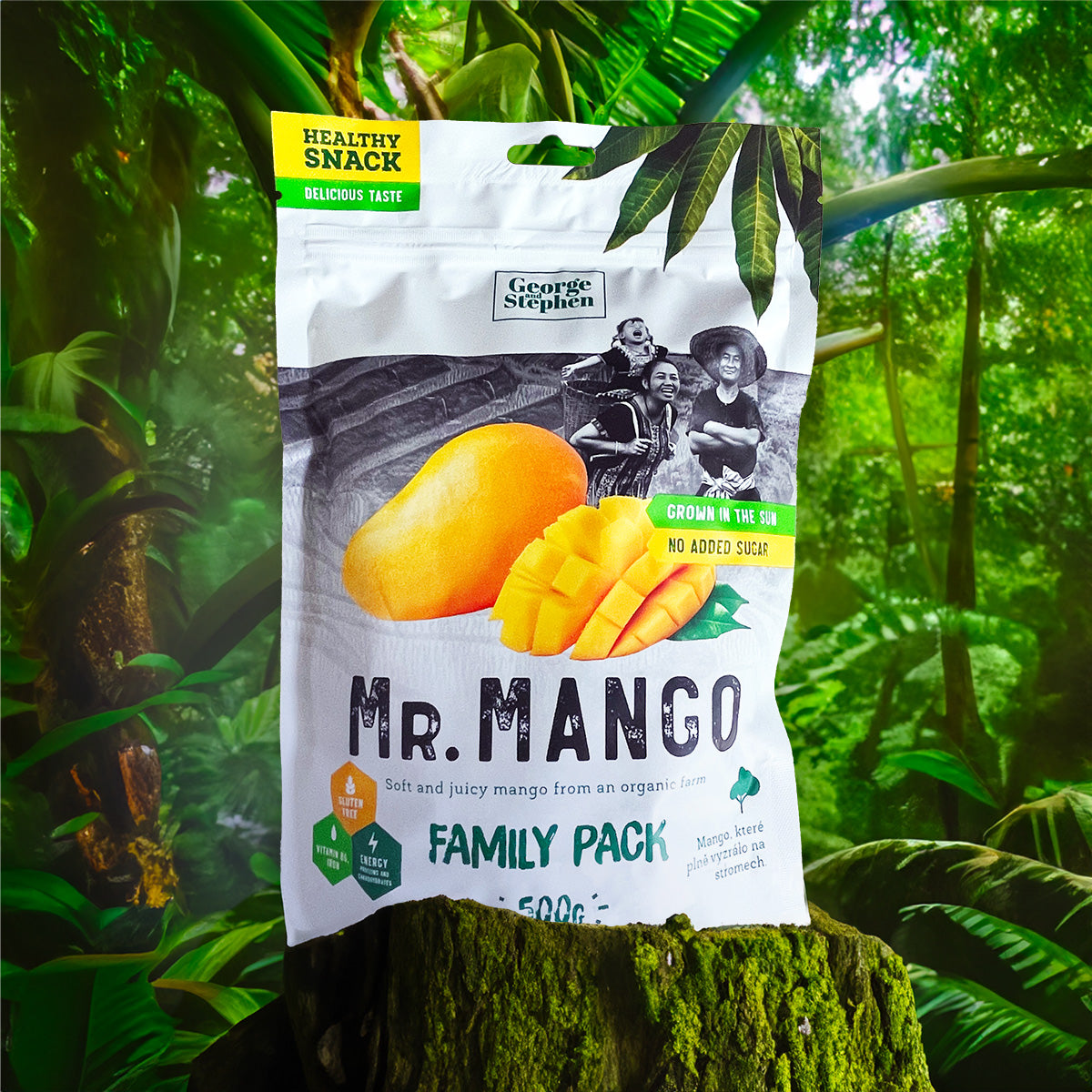 MR. MANGO | Sušené mango FAMILY PACK 500 g