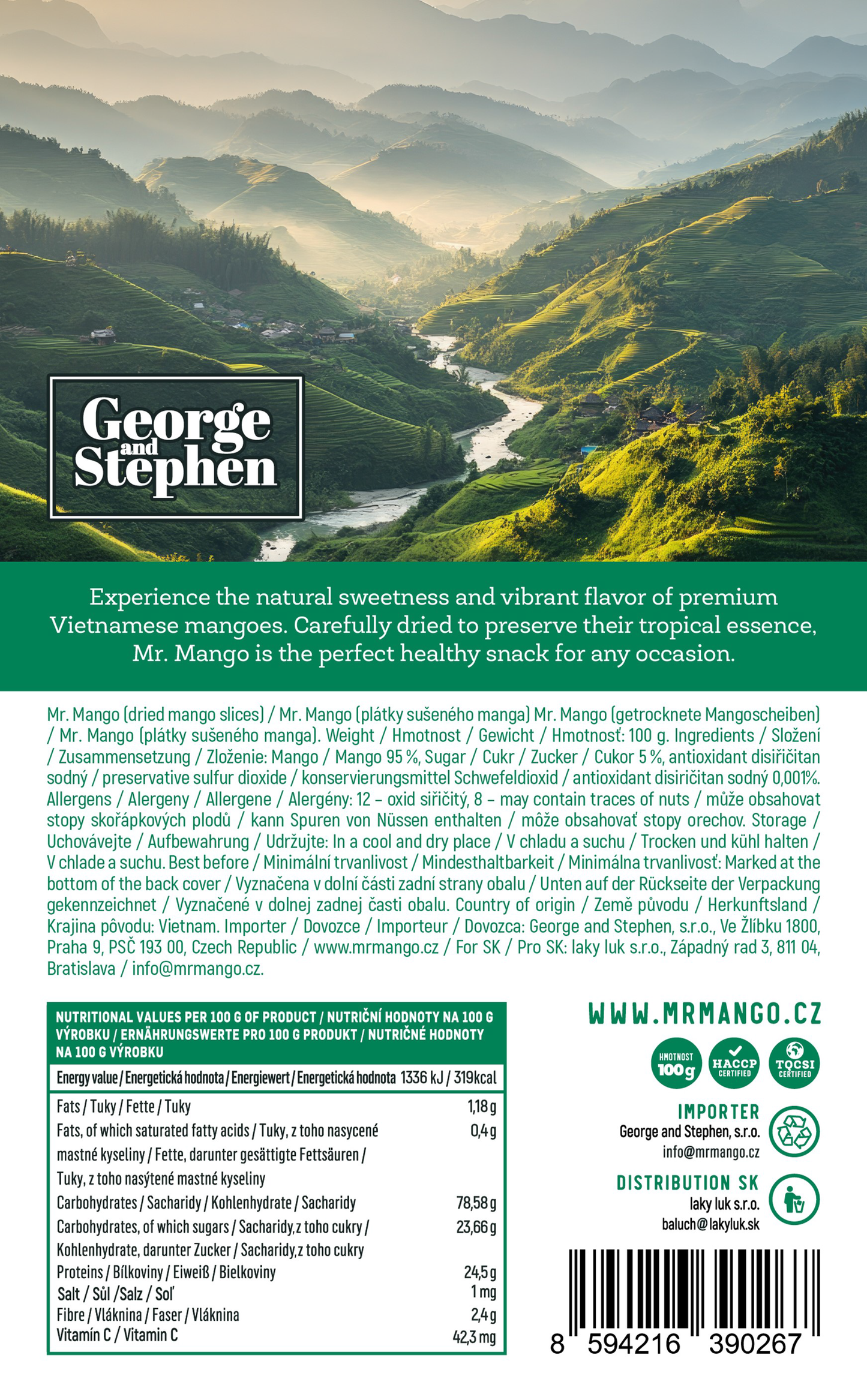 MR. MANGO | Dried mango 100g