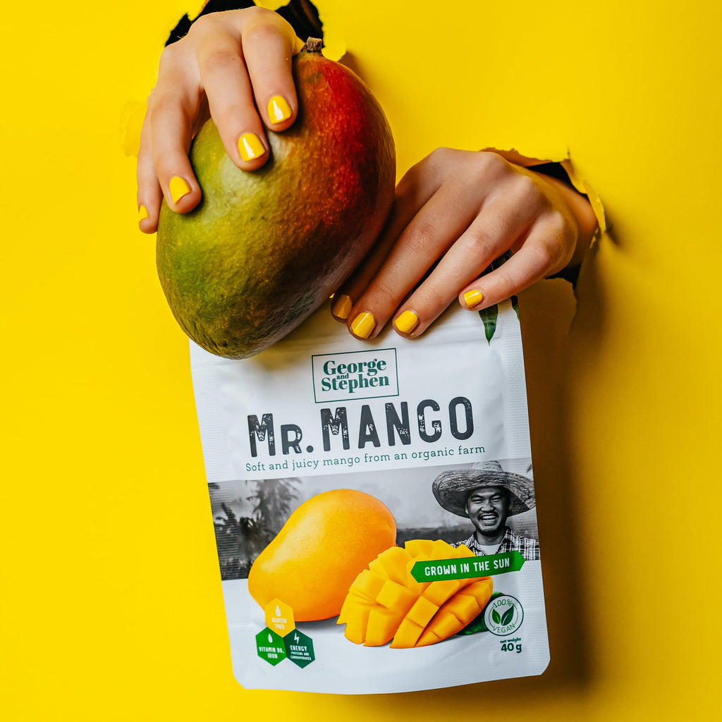MR. MANGO | Dried mango 40 g