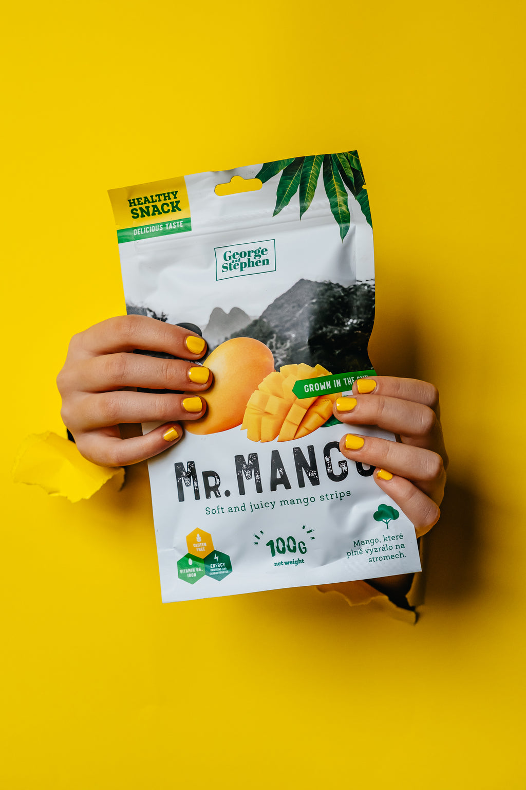 MR. MANGO | Dried mango 100g