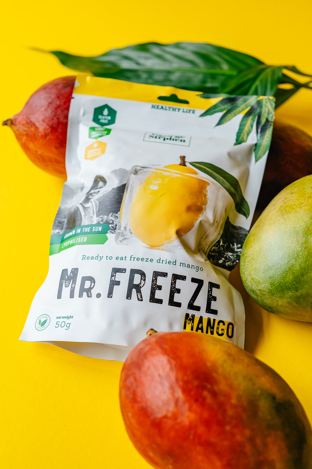 MR. FREEZE MANGO | Mango sušené mrazem 50g
