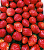 MR. STRAWBERRY | Sušené jahody 40 g